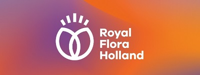 TOP X case: Wereldwijd Nederlandse bloemen