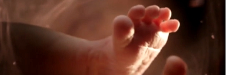 Cheel maakt commercial voor Orange Babies