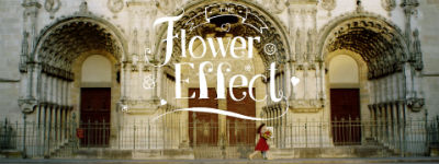 Bloemenbureau Holland en Kingsday lanceren online film 'The Flower Effect'