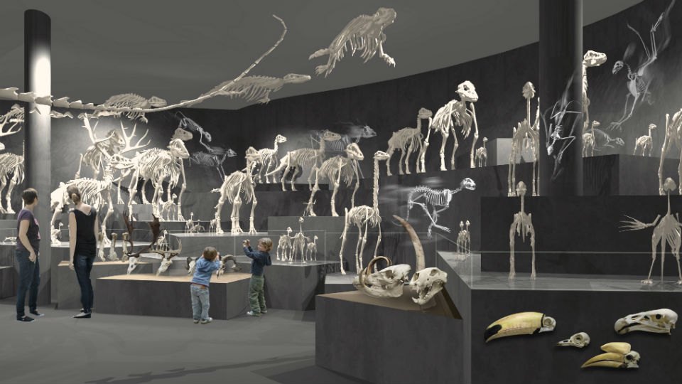 Tinker wint ontwerpcompetitie voor nieuw Deens Natural History Museum