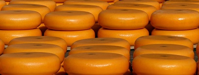 Oud-directeuren Uniekaas richten Best Cheese Holland op 
