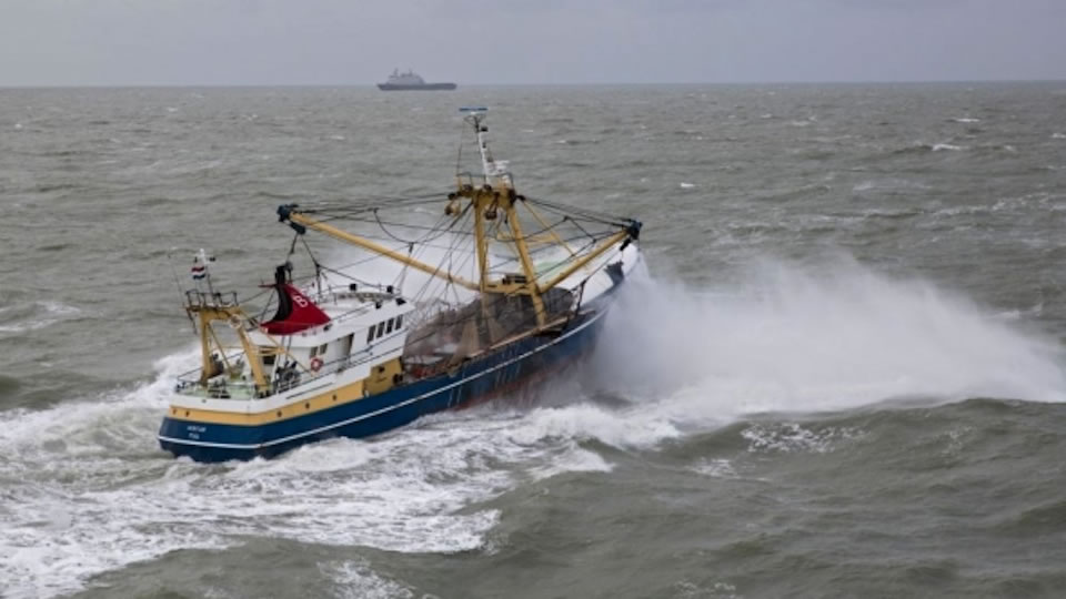 Curieus EU-besluit treft Nederlandse visserij en beperkt duurzaam aanbod