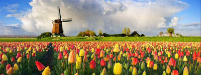 Best bekeken sites in Nederland