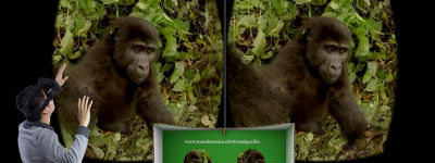 Levensechte reisbeleving thuis met 'Virtual Gorilla app'