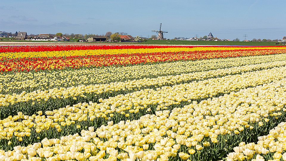 Nieuwe editie van nationale enquête ‘Namens Nederland’ gestart