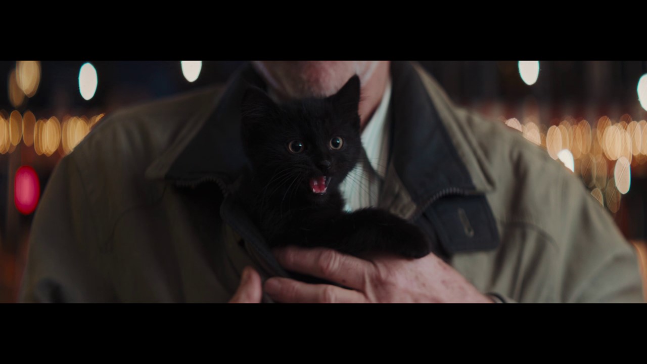 Televisie kijken Toeval Tomaat Staatsloterij gokt dit jaar op zwarte kat | MarketingTribune Bureaus