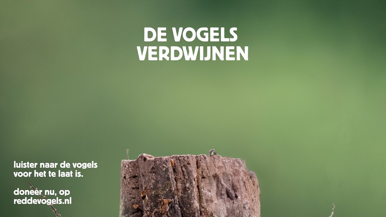 Vogelbescherming Nederland: luister naar de vogels en doneer