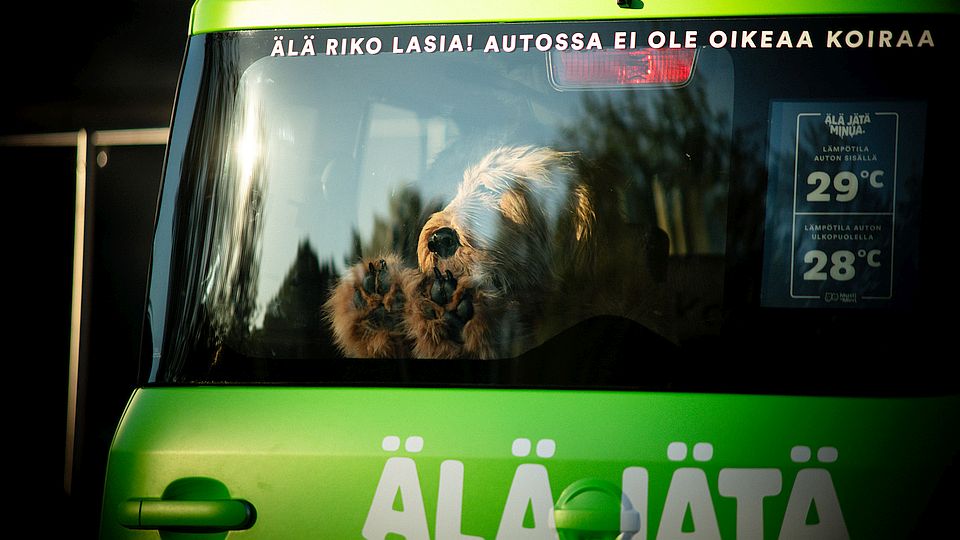 Robothond waarschuwt voor hitte in auto