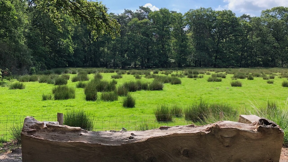 Van Gogh Nationaal Park en streekboeren lanceren foodlabel 